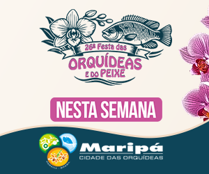 Maripá agosto