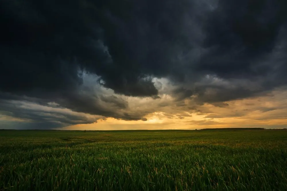  Esse serviço gratuito de meteorologia está disponível no site e aplicativo do Sistema FAEP. Foto: Divulgação/Assessoria