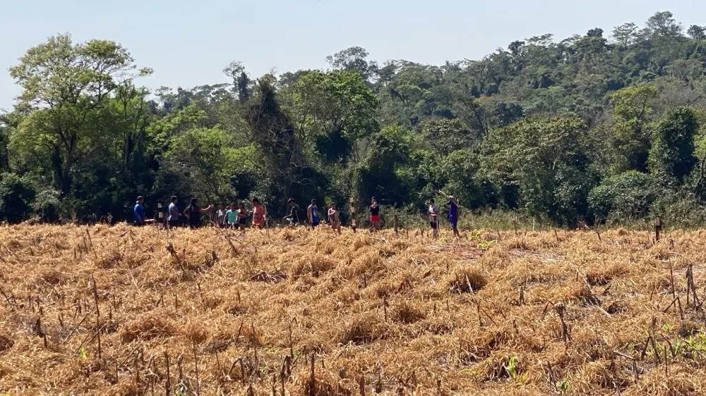  Sistema FAEP afirma que cerca de 30 indígenas ocuparam parte da Fazenda São Paulo, em Terra Roxa.