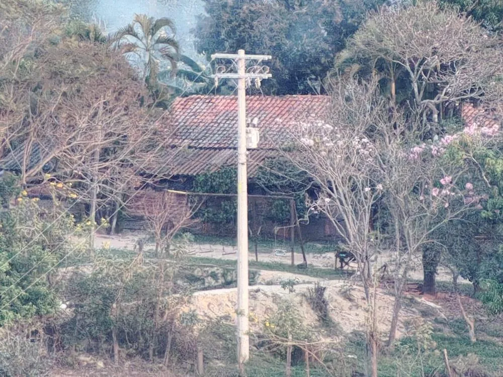 Polícia Civil prendeu quatro investigados pelo quádruplo homicídio ocorrido em Icaraíma em agosto de 2025.
