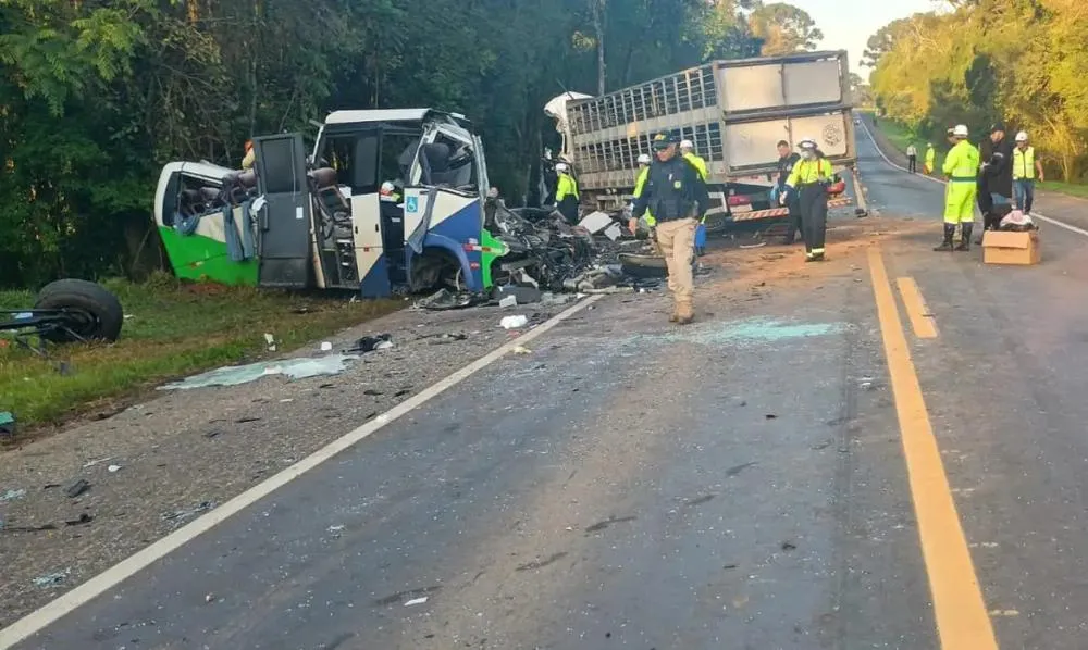 Acidente na BR-373: caminhoneiro e motorista de micro-ônibus são identificados