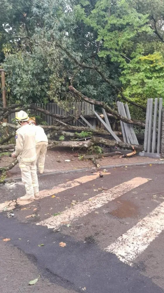 Zoo de Cascavel ficará fechado neste domingo após quedas de árvores e galhos provocadas pelos fortes ventos.