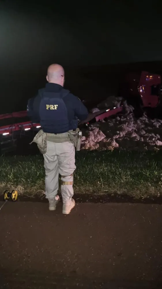 Automóvel saiu da pista após o impacto e parou em uma estrada vicinal às margens da BR-369.