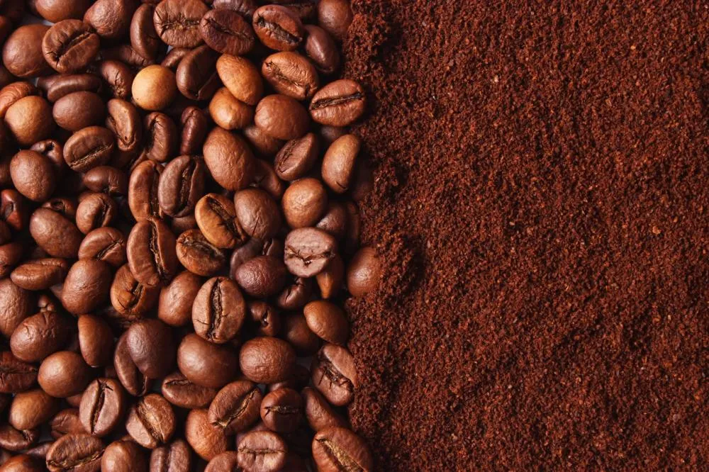 Concurso Café Qualidade Paraná chega à 24ª edição com inscrições abertas para produtores do Estado.