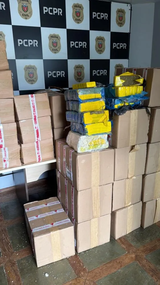 Denarc apreende 515 kg de maconha e prende homem em Cascavel