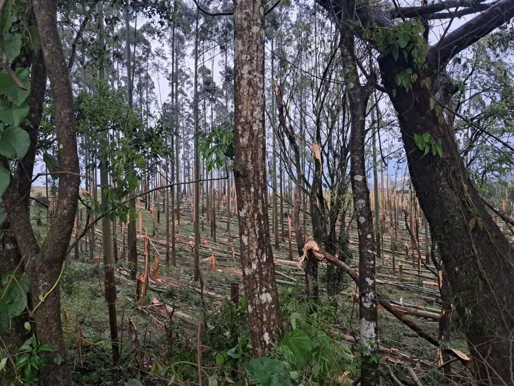 Segundo tornado ocorreu em Espigão Alto do Iguaçu por volta das 0h40 desta quinta-feira (10).