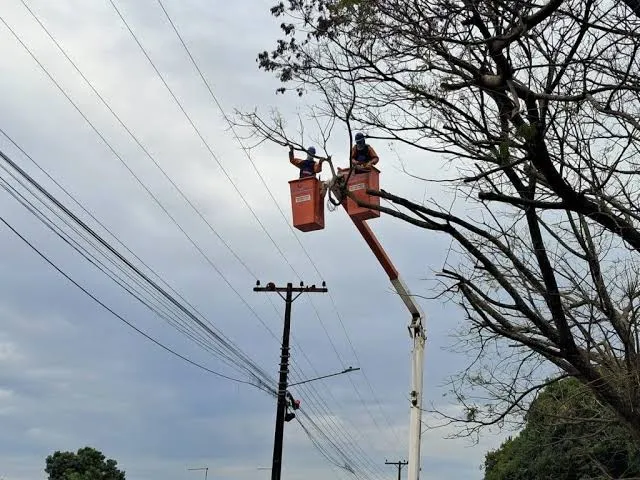 Oeste do Paraná registra 8 mil unidades consumidoras sem energia nesta terça-feira (22).