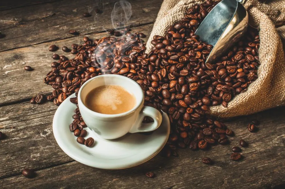Rodada de Negócios conecta produtores de cafés especiais a compradores e torrefações.
