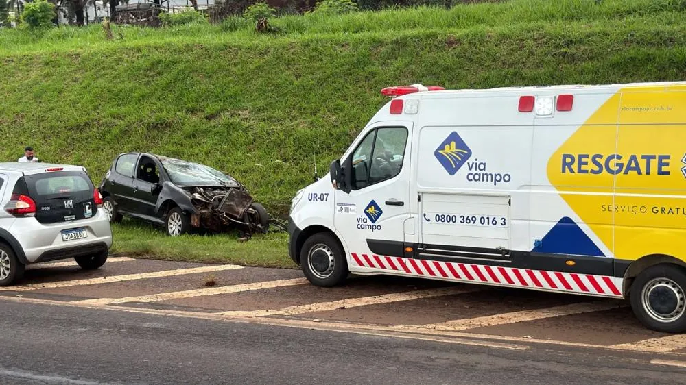 Peugeot saiu da pista após o motorista tentar desviar de um cachorro e capotou várias vezes.