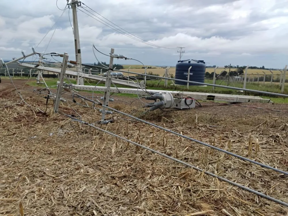 Copel troca 2.061 postes e 113 km de redes após temporais