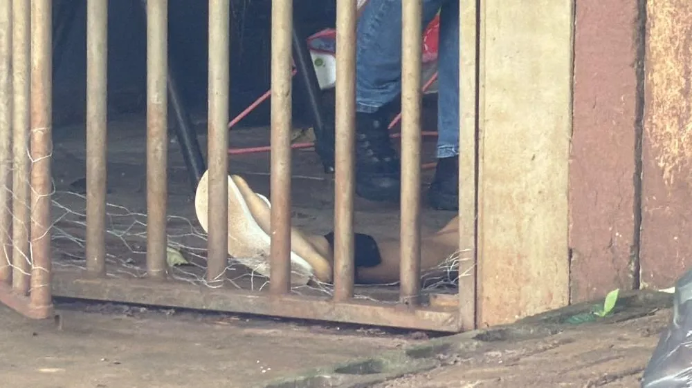 Polícia Militar e equipes de investigação foram mobilizadas após homem ser morto a tiros no bairro Esmeralda, em Cascavel.