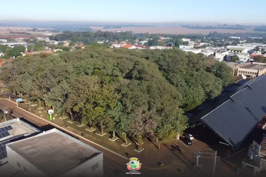 Vista aérea de área arborizada de Pato Bragado, divulgada com a notícia do plano municipal. Foto: Divulgação/Prefeitura de Pato Bragado.
