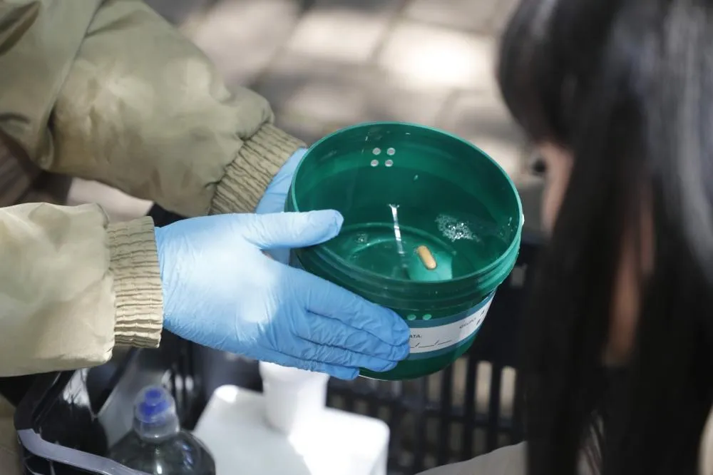 Dispositivos instalados em pontos estratégicos receberão cápsulas com ovos de mosquitos utilizados no Método Wolbachia.