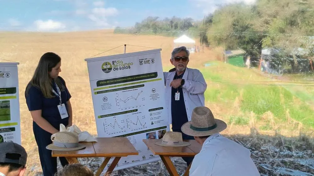 Em Toledo, áreas com terraços registraram 117% mais esporos de fungos micorrízicos arbusculares.