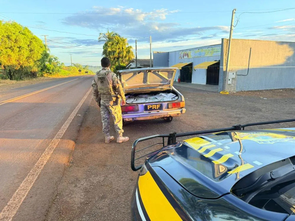 PRF apreende 200 quilos de agrotóxicos na PR-180