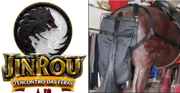 Leis vergonhosas ou engraçadas