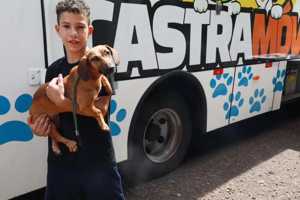 Castramóvel fará cerca de 80 castrações gratuitas no CCI XIV de Novembro a partir de segunda-feira (9)