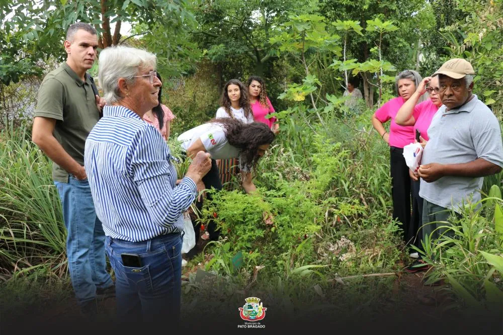 Horto de Pato Bragado recebe comitiva da UFSCar e Cooplantas para intercâmbio sobre plantas medicinais