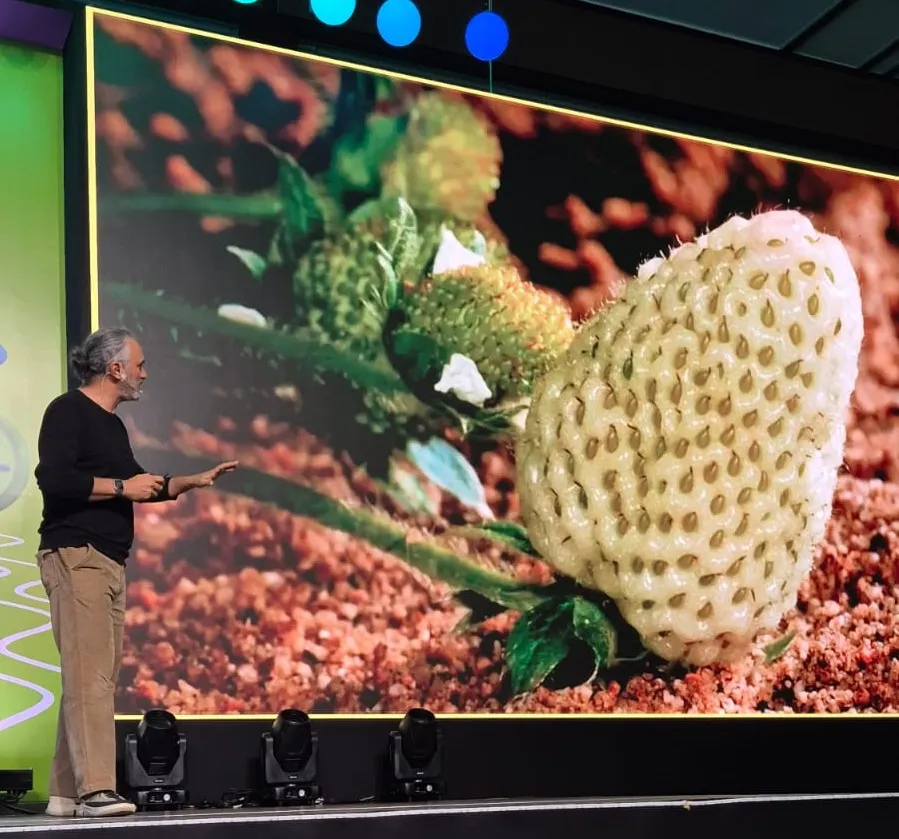 Fred Gelli e o morango branco: a natureza tem seus próprios mecanismos para engajar sua audiência, os quais podem inspirar as marcas