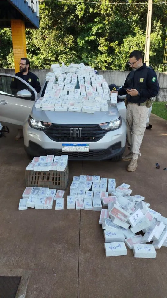 PRF apreende 350 iPhones escondidos em caminhonete após tentativa de fuga na BR-369