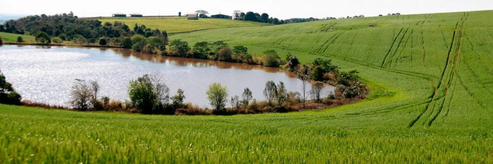  Medida coloca em risco a produção agropecuária do Paraná Foto: Divulgação/Assessoria