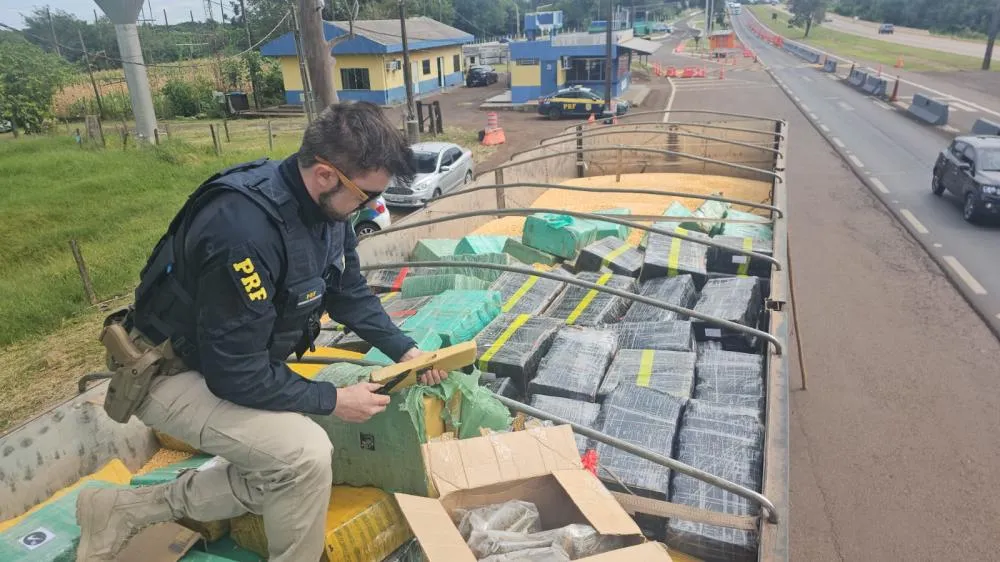 PRF apreende cerca de 4 toneladas de maconha escondidas em carga de milho na BR-163