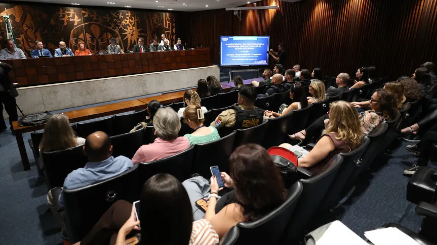 Audiência pública foi realizada no Plenarinho da Assembleia. Créditos: Orlando Kissner/Alep