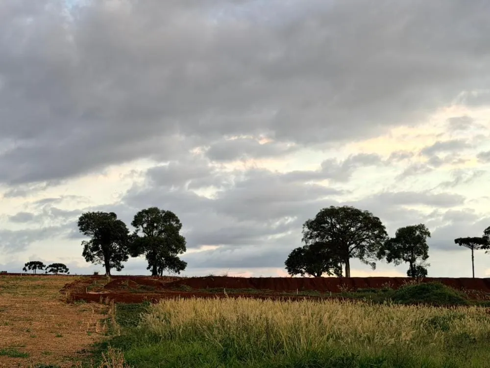 Coluna ADI - 18 de março de 2026