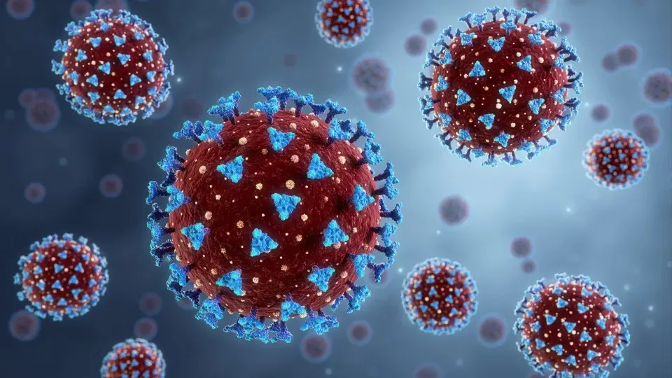 Apesar do avanço, autoridades afirmam que o risco segue baixo, mas reforçam a necessidade de monitoramento e manutenção dos cuidados Foto:Reprodução/© Shutterstock