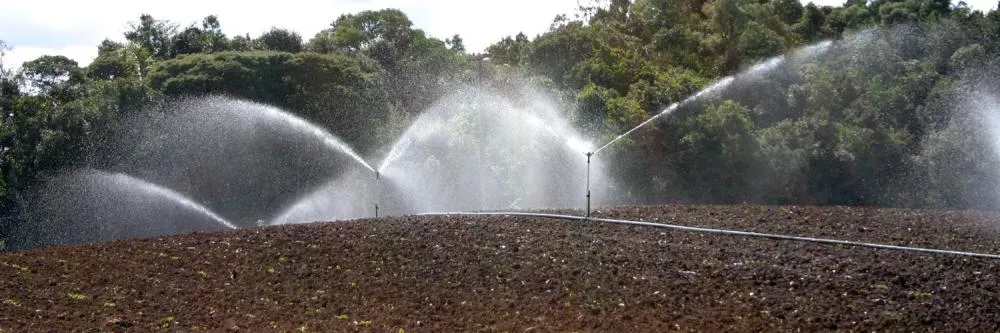 Foto: Divulgação/Assessoria