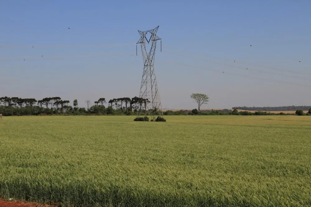 Canal exclusivo da Copel para produtor rural após articulação do Sistema FAEP