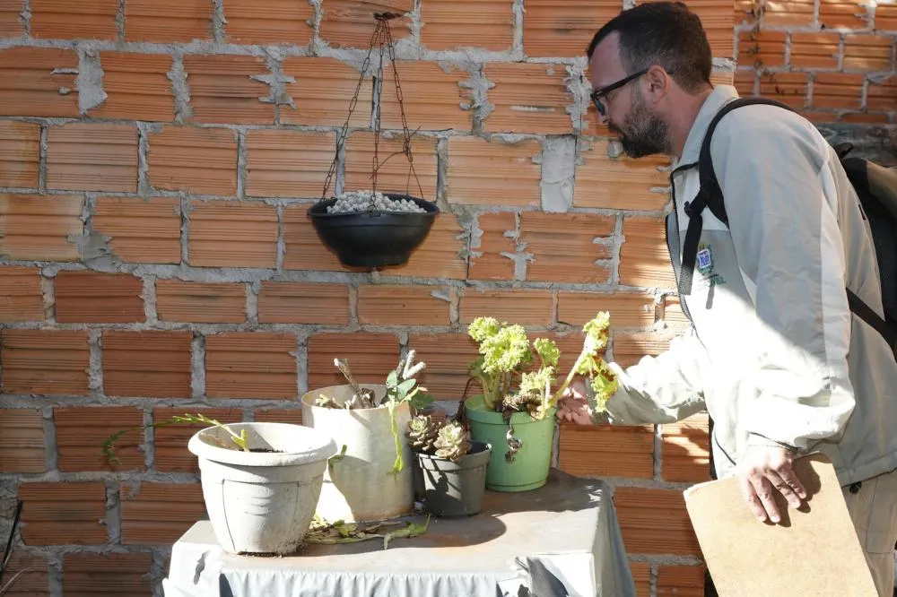 Saúde faz ação para conter proliferação do mosquito Aedes aegypti