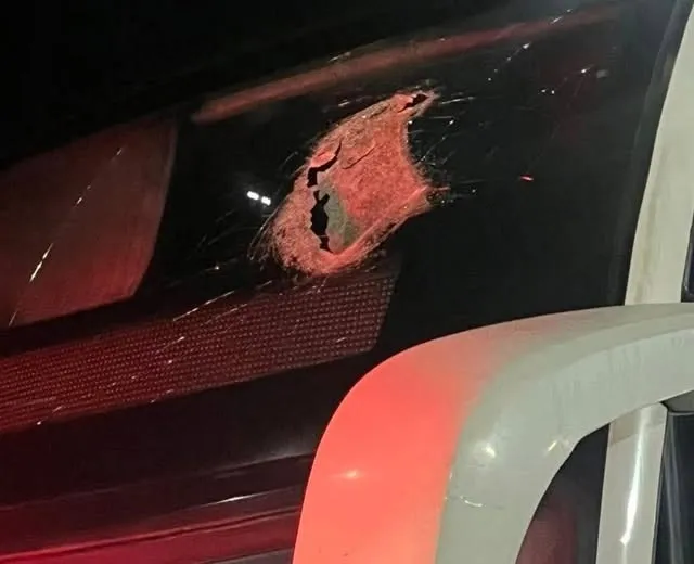 A peça quebrou o parabrisas e atingiu os passageiros