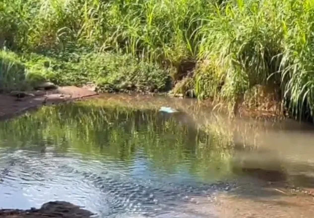 Crianças encontram corpo de homem no rio do Ecopark Oeste