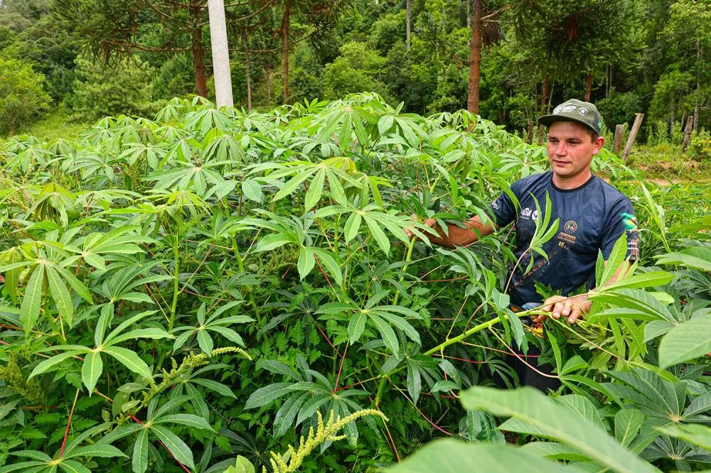 ATeG transforma gestão e amplia resultados nas propriedades rurais do PR