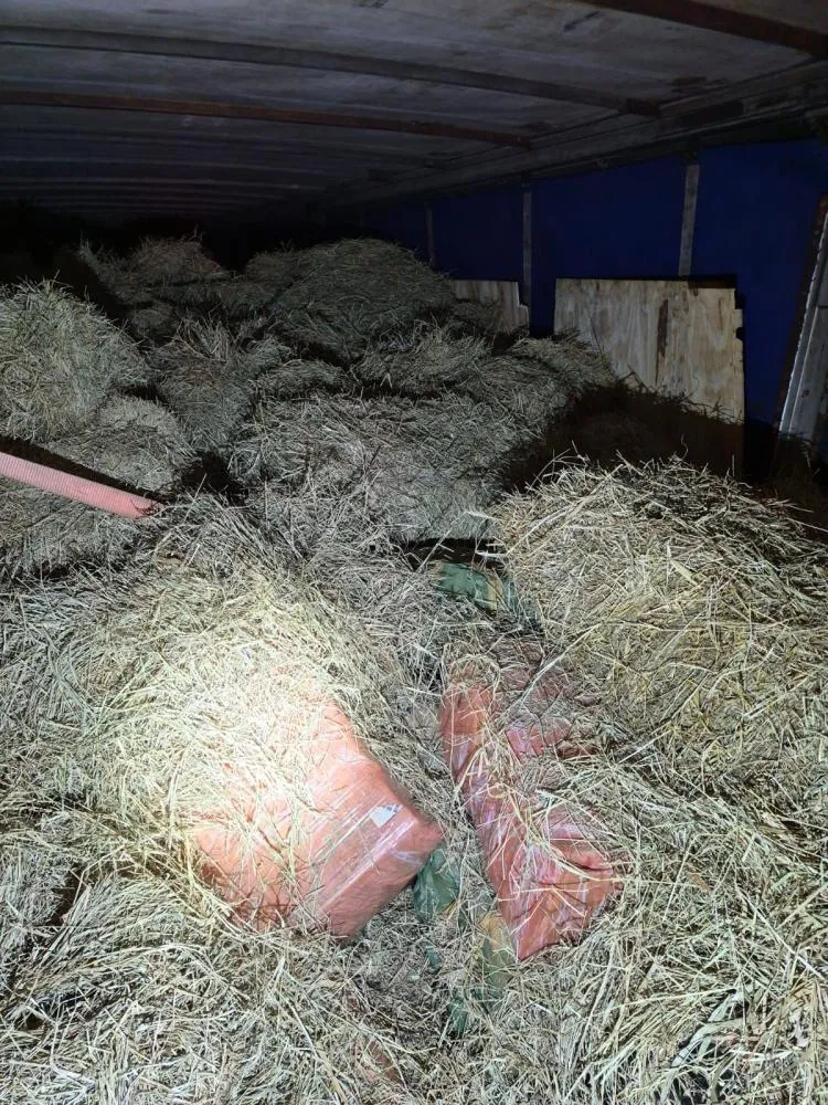 Mais de 4,5 toneladas de maconha são apreendidas na BR-277 durante operação integrada
