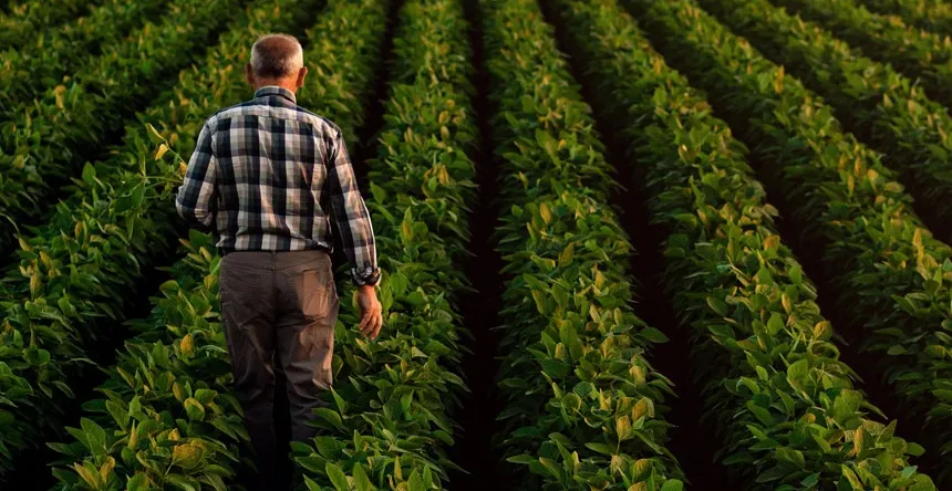 Produtores estão com dificuldades de quitar empréstimos e acessar crédito rural dificultando as atividades no campo Foto: Divulgação/Assessoria