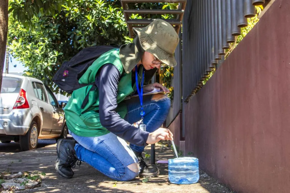 Toledo atinge 4,3% de infestação predial no primeiro levantamento do Aedes aegypti