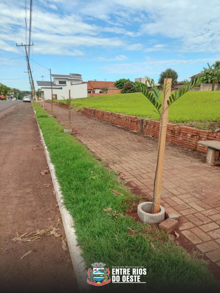 Entre Rios do Oeste planta mais de 100 mudas de árvores e revitaliza trevos de acesso