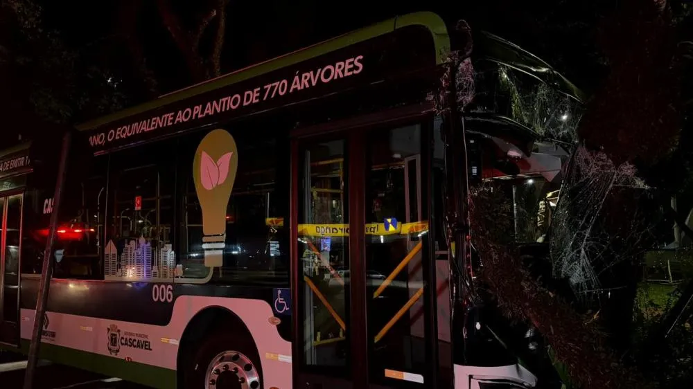 Um dos ônibus do transporte coletivo invadiu o canteiro central e colidiu contra uma árvore no cruzamento central.