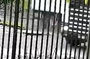 Câmera de segurança registra atropelamento fatal de menino de 12 anos em Cascavel