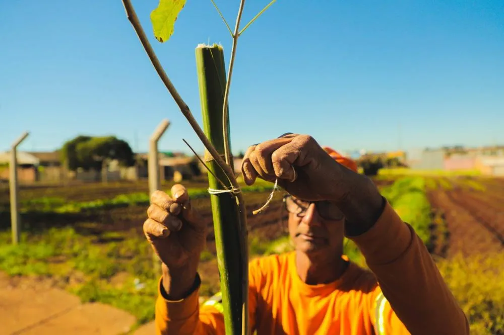 Programa “Sema nos Bairros” chega ao Santa Felicidade na próxima semana