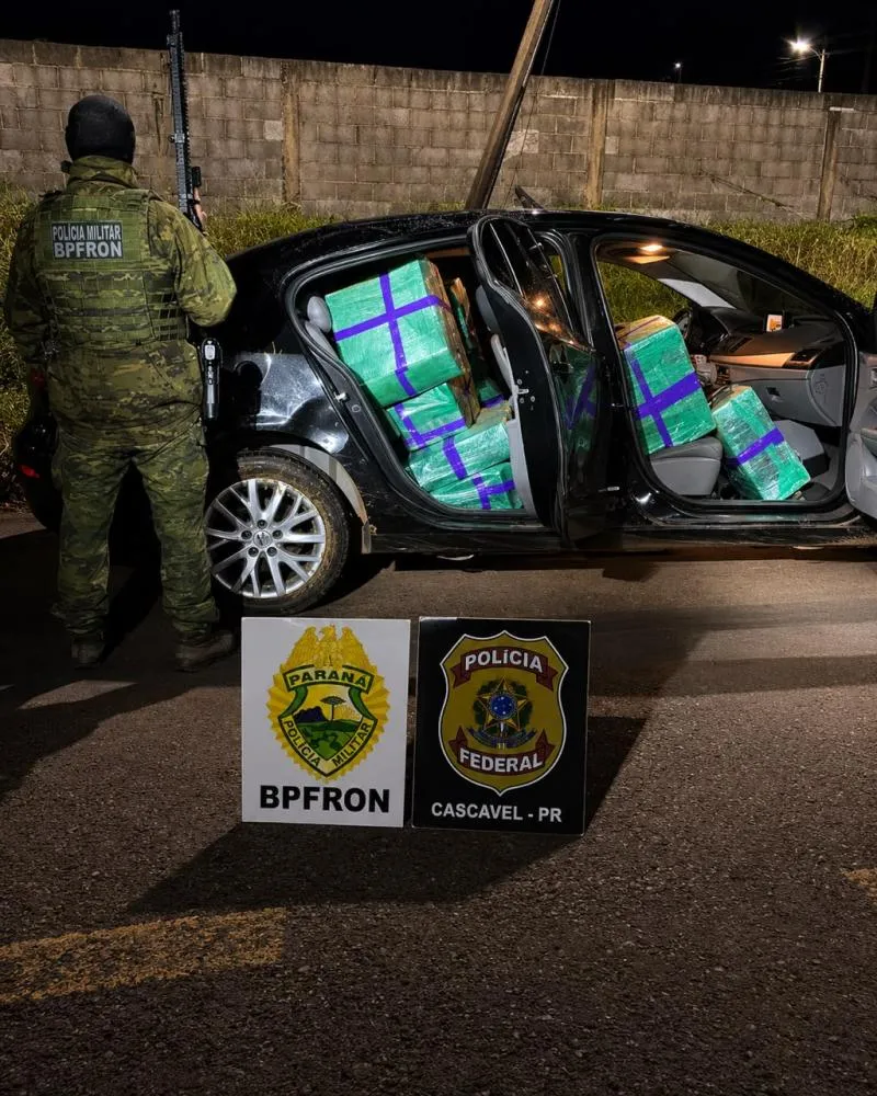 Ação na BR-277 gera prejuízo de R$ 1 milhão ao crime
