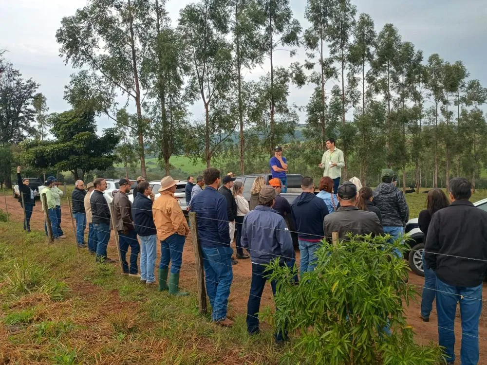 A programação incluiu apresentação dos indicadores produtivos da propriedade e visita técnica às áreas de produção. Foto: Divulgação/Assessoria