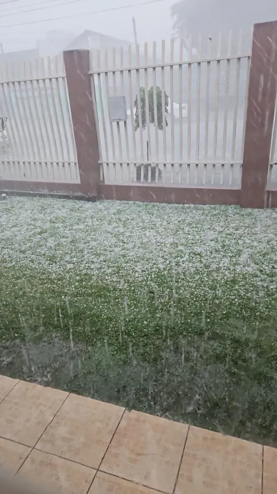 Temporal de granizo atinge bairros e derruba árvore em Cascavel