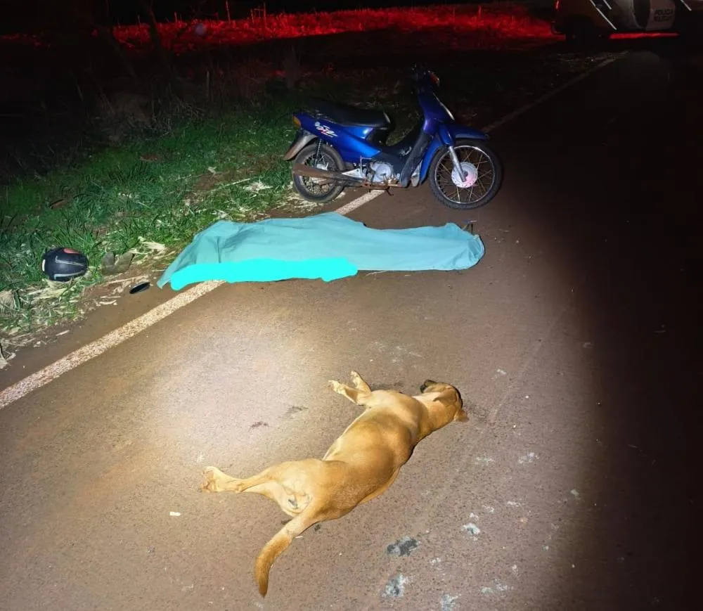 Idoso morreu após atropelar um animal e cair da motocicleta na PR-495. Foto: Divulgação/BPRV