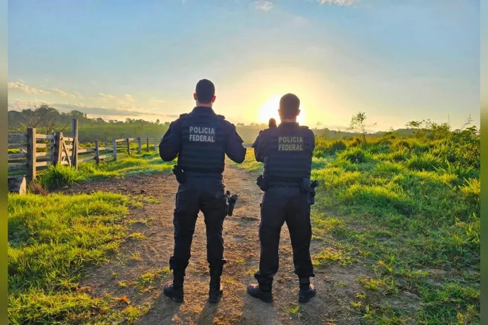 Policiais federais cumprem mandados de busca e apreensão contra grupo investigado por crimes ambientais. Foto: Divulgação/PF
