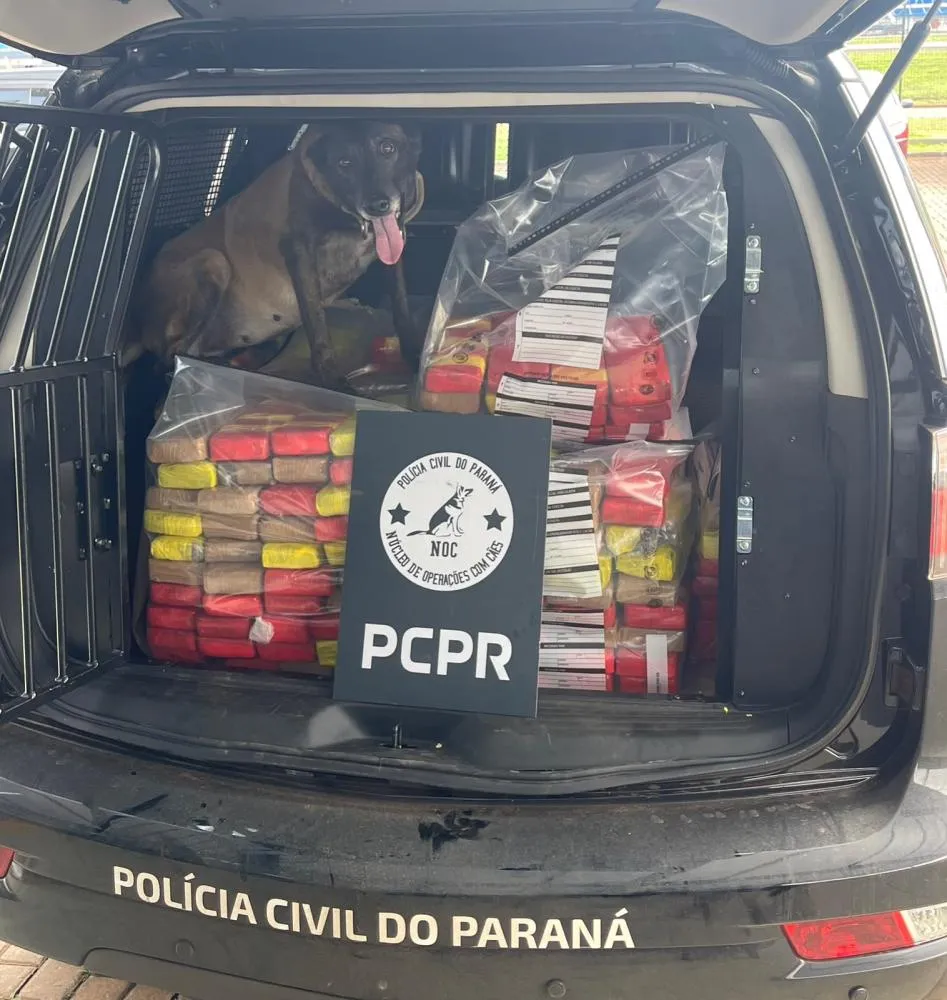 Tabletes de maconha foram encontrados durante fiscalização em centro logístico de Cascavel.