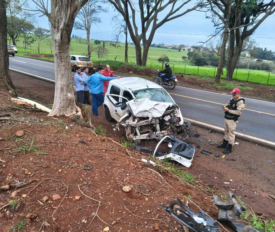 O automóvel bateu em árvores antes de parar sobre a pista e ser atingido pelo caminhão. Foto: Divulgação 