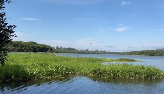 Foto: Reprodução/Correio do Lago